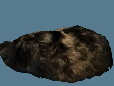 Sleeping Cat Photoscan Low-poly 3D model