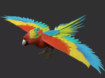 Parrot 3D model order