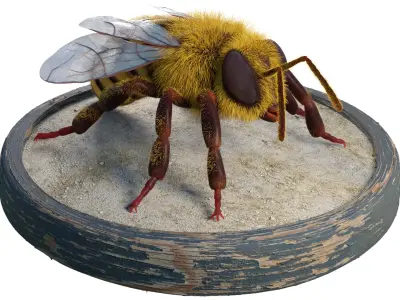 Bee - Blender Low-poly 3D model