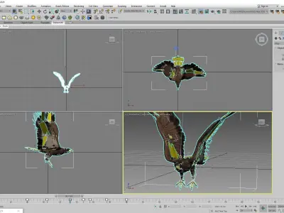 Animated Rigged Eagle 3D model