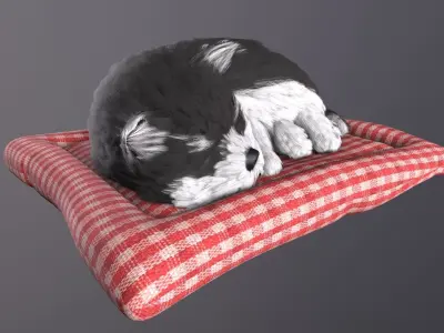 jewelry accessory dog  Low-poly 3D model