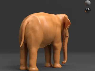 Asian Elephant - BaseMesh 3D model