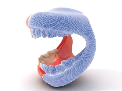 Realistic Teeth and Gums model pack Low-poly 3D model