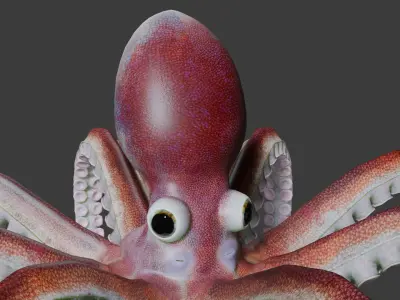 Octopus Low-poly 3D model order
