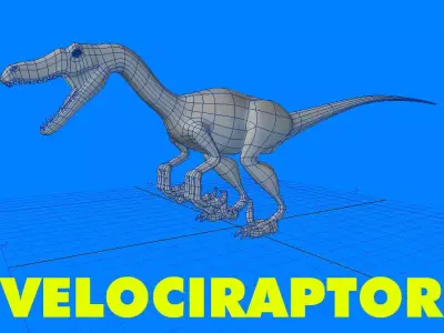 Velociraptor Dinosaur 3D model shop