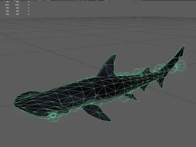 Shark Low-poly 3D model 24