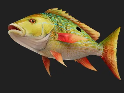 Snapper Low-poly 3D model order