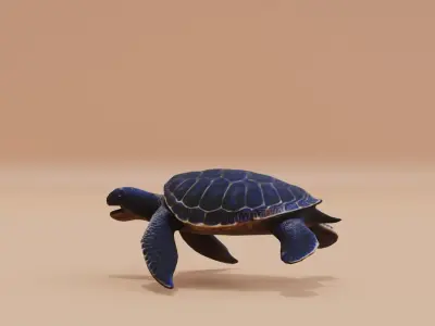 Turtle Sea with its sturdy shell Swimming Low-poly 3D model