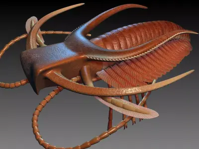 Marrella splendens 3D model