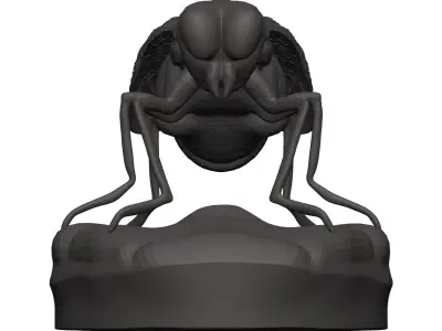 Fly-Fly fly 3D model