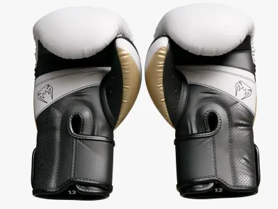 Boxing Punch Gloves White Venum Elite Evo 3D model
