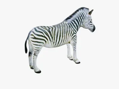 Zebra Free 3D model purchase