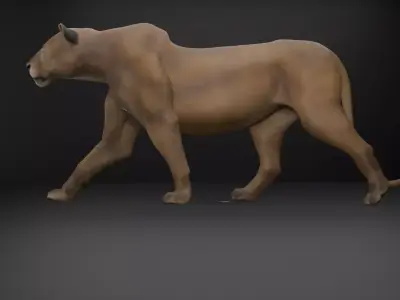 Female Lion with Walk Animation Low-poly 3D model
