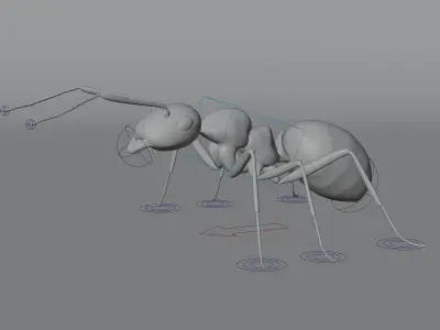 Ant 3D model Rigged 3D model