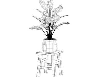 Peace Lily Free low-poly 3D model