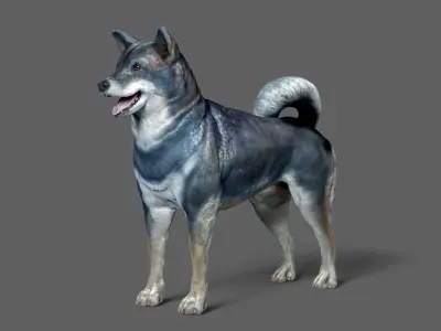 Shiba Inu 3D model