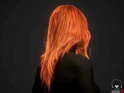 Real-time&nbsp;Hair&nbsp;model&nbsp;Female&nbsp;long 1 3D model