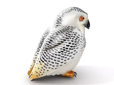 Snowy Owl Model Pack with Detailed Textures and LOD Low-poly 3D model