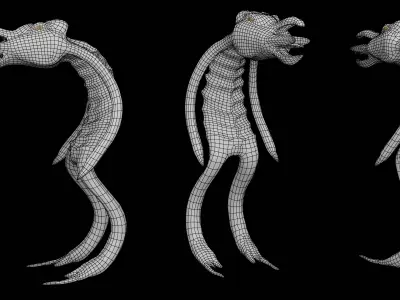 yanglog Low-poly 3D model