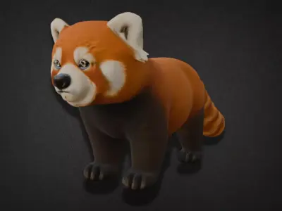 Realistic Red Panda Model 3D model