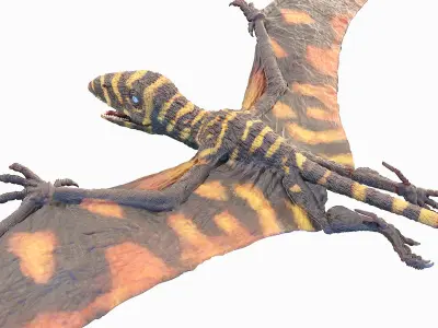  Peteinosaurus Static 