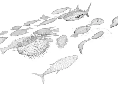 Sea Creatures Collection 3D model