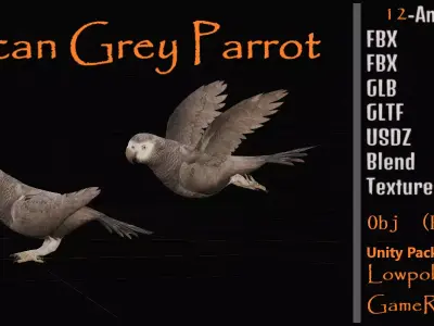 African Grey Congo Parrot Bird Free low-poly 3D model