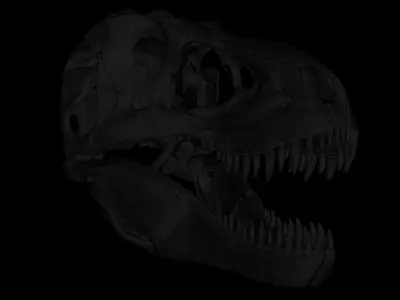 Tyrannosaurus Rex Skull Model 3D model