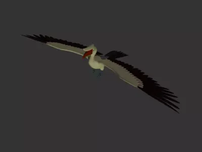 Horbill 3D model