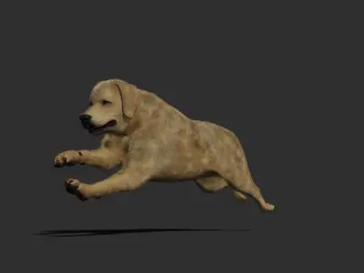 Dog rigged and animated 3D model