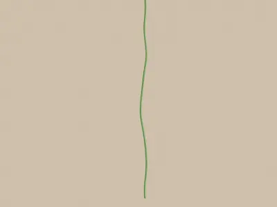 Lotus Leaf 3D model