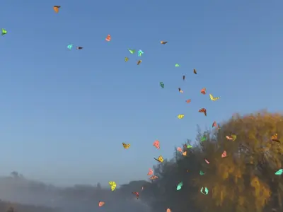 BUTTERFLIES ANIMATION Low-poly 3D model purchase