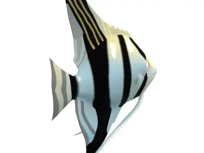 Angel Animated Fish  Low-poly 3D model