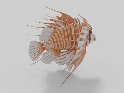 Broadbarred Farefish 3D Model 3D model