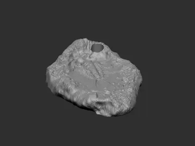 Trilobite Mineral Fossile - Realistic Printable and Keychain 3D print model