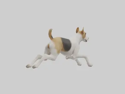 Fox Terrier running model 3D model
