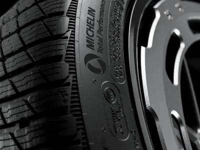 MICHELIN Pilot Alpin 5 315 30 R21 105V 3D model
