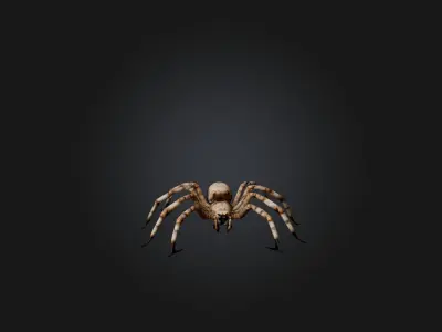 Giant Spider Low-poly 3D model purchase