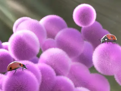 Ladybug 3D model buy