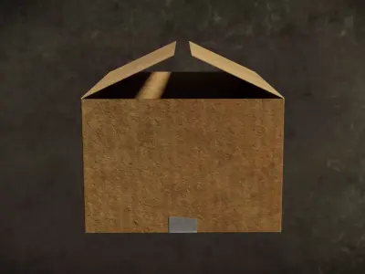 Cardboard Clean Series BoxIC G2 N5-8 3D model