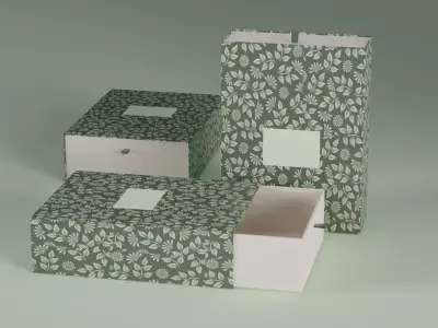  Premium Box package  3D model