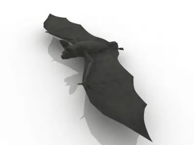 Good quality bat 3D model