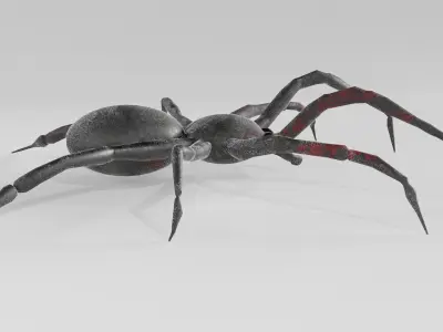 Spider Free low-poly 3D model
