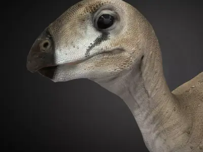 Hypsilophodon Foxii Low-poly 3D model