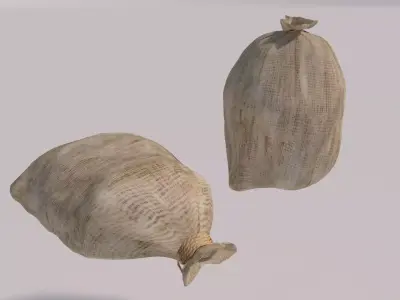 closed bags sacks 3D model
