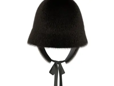 Fur Bucket 3D model