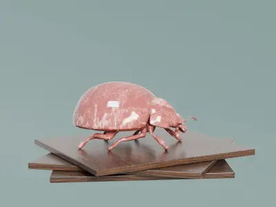 Ladybug Statue for House Decoration Low-poly 3D model