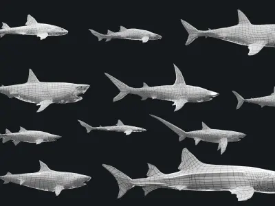 Low-Poly Shark Mesh Collection Low-poly 3D model