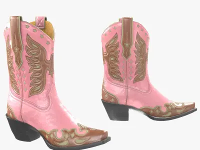 Eagle Star Cowboy Pink Boots 3D model