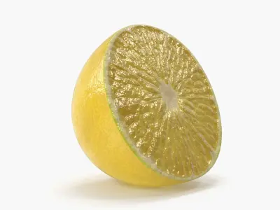  Lemon Slice 